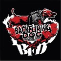 Backfliping Dog (BFD): První ofiko videoklip