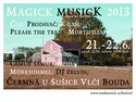 MAGICK MUSICK 2013
